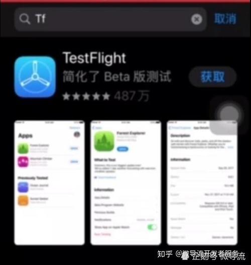 test flight收费吗