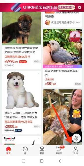 京东绑定的银行卡在哪里取消
