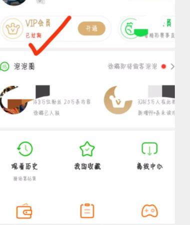 爱奇艺vip手机号和密码图标