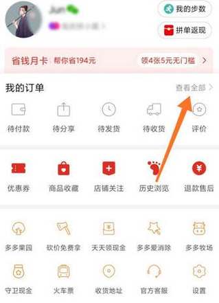 拼多多怎么查看总账单图标